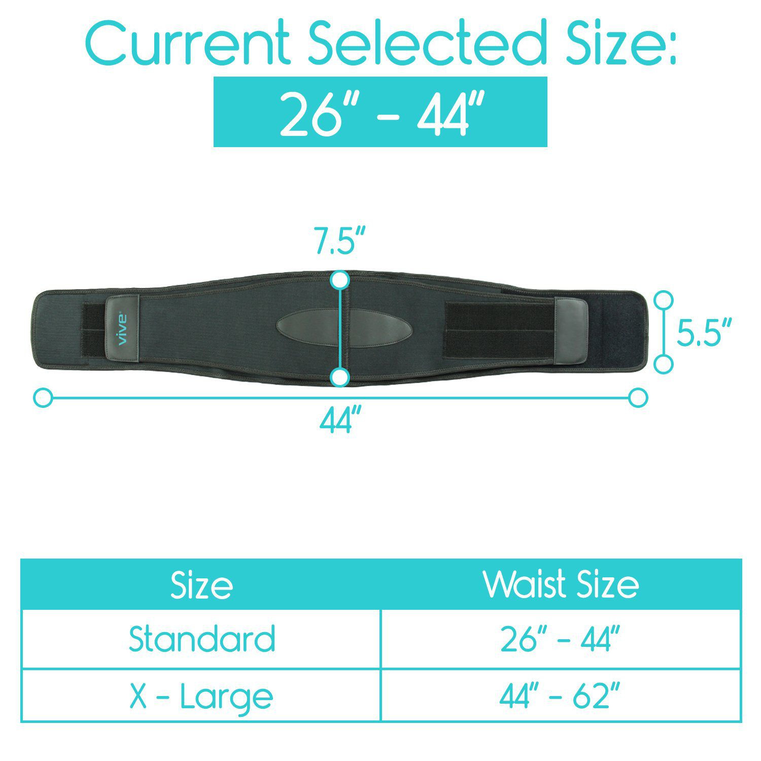 Back Brace photo 4