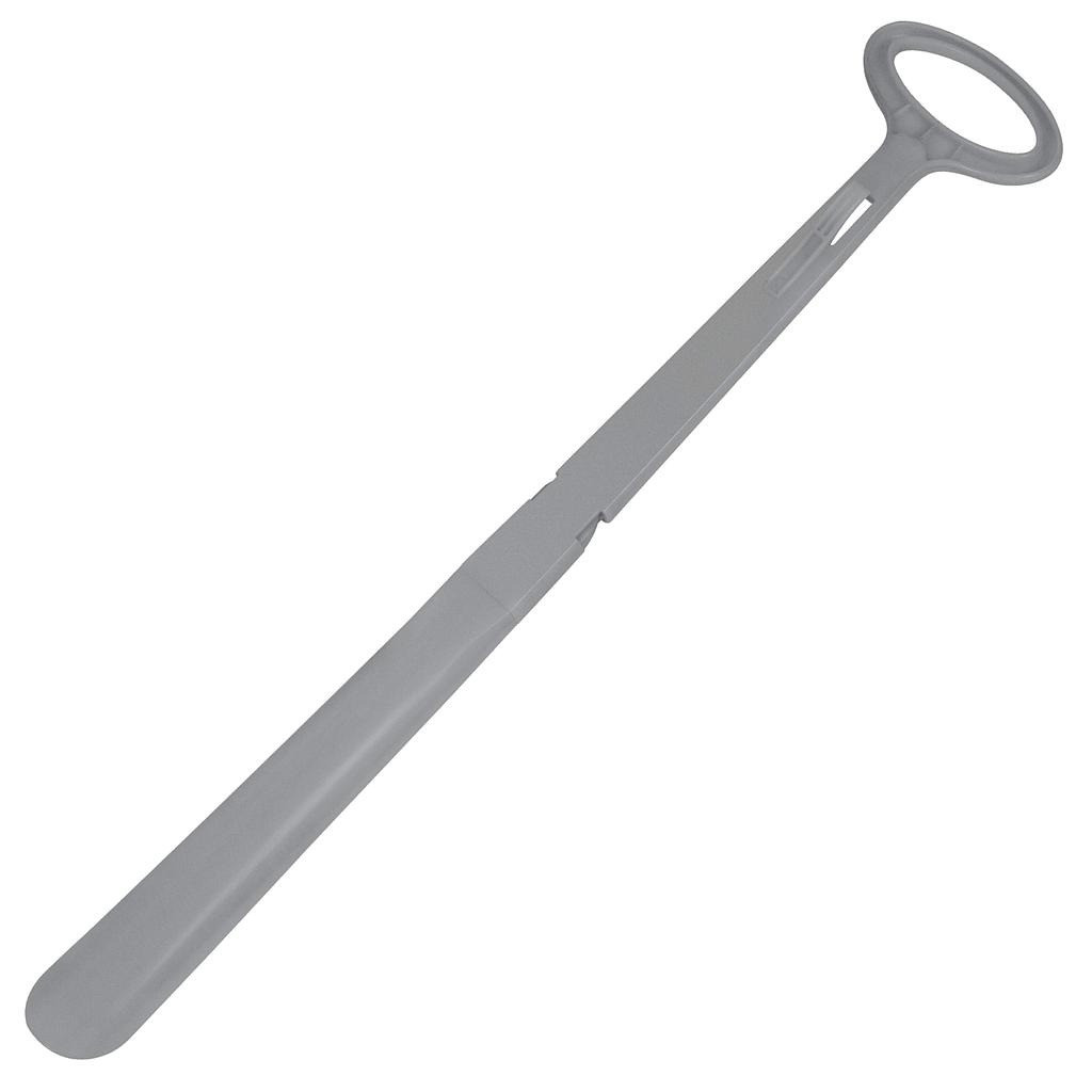 Shoehorn with Sock Remover